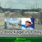Wike Under Fire as VeryDarkMan Says: “Look at What They Have Turned Abuja Into, Cows Everywhere!”