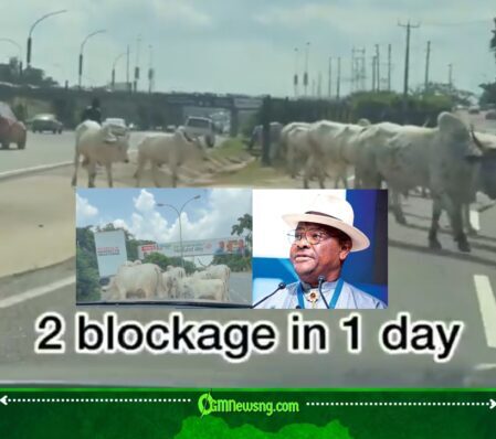 Wike Under Fire as VeryDarkMan Says: “Look at What They Have Turned Abuja Into, Cows Everywhere!”