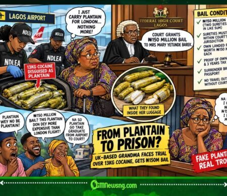 ₦150 MILLION BAIL: Fake Plantain Carry Grandma From Airport Trouble Enter Serious Court Drama
