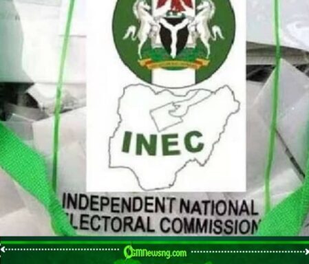 9.3 Million Nigerian Youths Join Voters’ Register, Suddenly Everybody Is Asking Who They Plan to Vote For