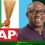 APC Accuses Peter Obi of Living in Denial Over 2023 Election as Political War of Words Intensifies