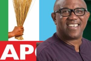 APC Accuses Peter Obi of Living in Denial Over 2023 Election as Political War of Words Intensifies