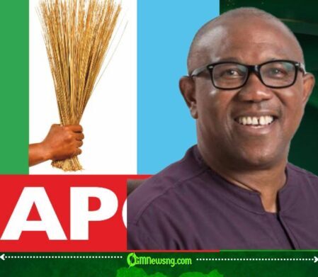 APC Accuses Peter Obi of Living in Denial Over 2023 Election as Political War of Words Intensifies