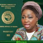Abike Dabiri-Erewa Claims Foreigners Are Begging Tinubu for Nigerian Passports