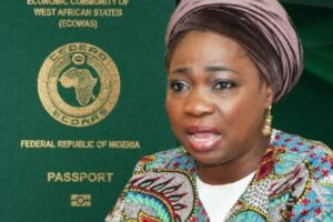 Abike Dabiri-Erewa Claims Foreigners Are Begging Tinubu for Nigerian Passports
