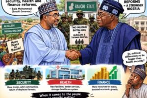 Bola Tinubu Don Do Well for Bauchi, Bala Mohammed Praise Security, Health and Finance Reforms
