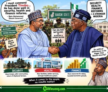 Bola Tinubu Don Do Well for Bauchi, Bala Mohammed Praise Security, Health and Finance Reforms
