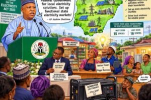Electricity Act 2023: Shettima Don Challenge Governors to Stop Waiting for Abuja Before Light Go Shine