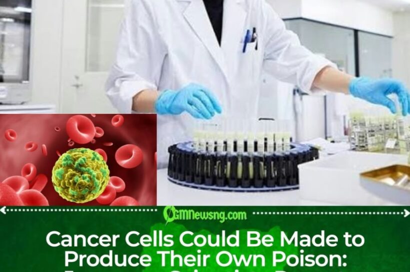 Japanese Scientists Turn Cancer Cells Into Their Own Poison Factories in Promising Experimental Breakthrough