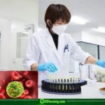 Japanese Scientists Turn Cancer Cells Into Their Own Poison Factories in Promising Experimental Breakthrough