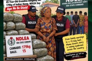 Mama Grace Cannabis Bust: 85-Year-Old Grandma Allegedly Get 179kg of Indian Hemp, NDLEA Say Age No Be Shield
