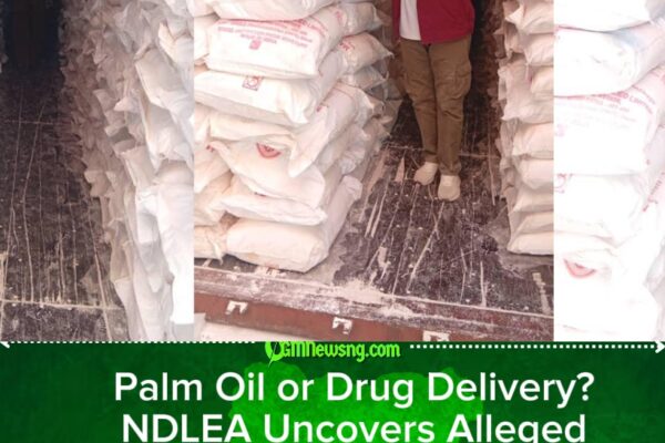 NDLEA Intercepts Saudi-Bound Cannabis Hidden in Palm Oil, Seizes ₦6.98bn Tramadol