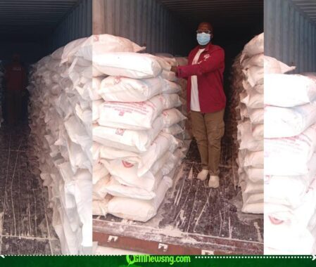 NDLEA Intercepts Saudi-Bound Cannabis Hidden in Palm Oil, Seizes ₦6.98bn Tramadol