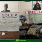NDLEA’s Drug War Takes a Shocking Turn as 83-Year-Old Convicted Grandmother Is Arrested Again in Nigeria-Wide Crackdown
