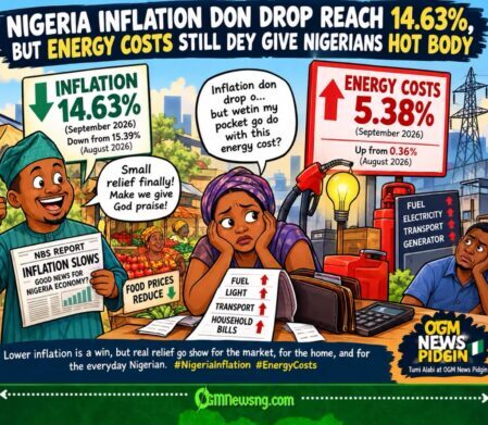 Nigeria Inflation Don Drop Reach 14.63%, But Energy Costs Still Dey Give Nigerians Hot Body