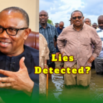 Peter Obi — Mr. Go and Verify: Nigerians Saw Red Flags After Checking His Claims—Now What?