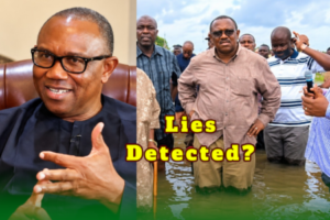 Peter Obi — Mr. Go and Verify: Nigerians Saw Red Flags After Checking His Claims—Now What?