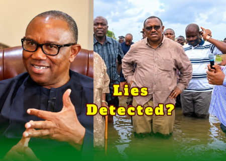 Peter Obi — Mr. Go and Verify: Nigerians Saw Red Flags After Checking His Claims—Now What?