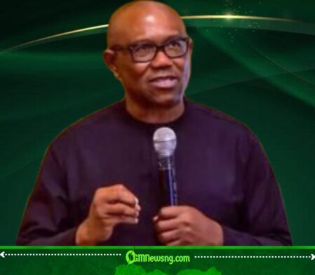 Peter Obi Says No Tribe Buys Fuel Cheaper as Nigeria’s Insecurity Tests the Meaning of Unity