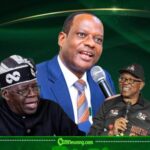 Taiwo Oyedele Says Tinubu Has Eliminated Subsidy Corruption as Peter Obi Proposes a Return