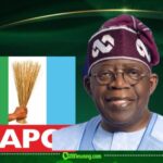 Tinubu Hints at Skipping APC Campaign Rallies in Some States, Says Governance and Bills Cannot Wait