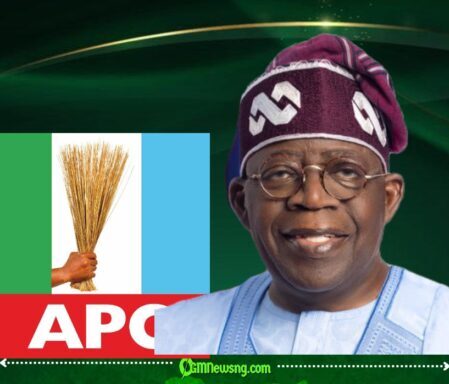Tinubu Hints at Skipping APC Campaign Rallies in Some States, Says Governance and Bills Cannot Wait