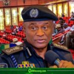 Senate Orders IGP Tunji Disu to Probe Killing of 113 People in Benue