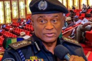 Senate Orders IGP Tunji Disu to Probe Killing of 113 People in Benue