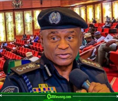 Senate Orders IGP Tunji Disu to Probe Killing of 113 People in Benue